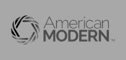 American Modern